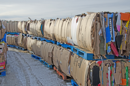 cardboard recycling brighton